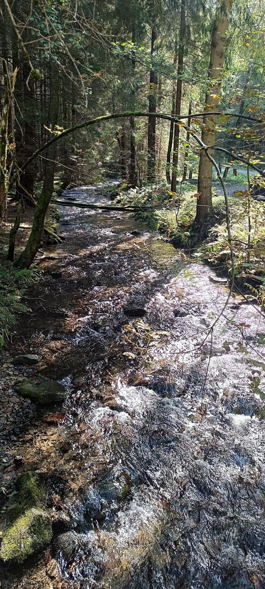 Appartement Bergzauber Scheibenberg Eksteriør bilde